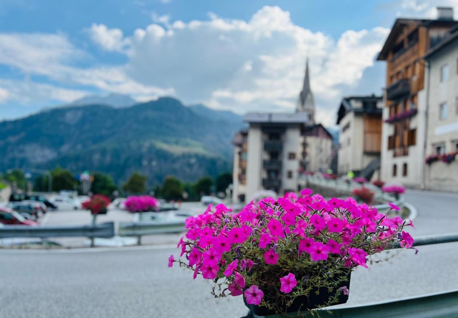 My Dolomites Home 리비날롱고 델 콜 디 라나 외부 사진